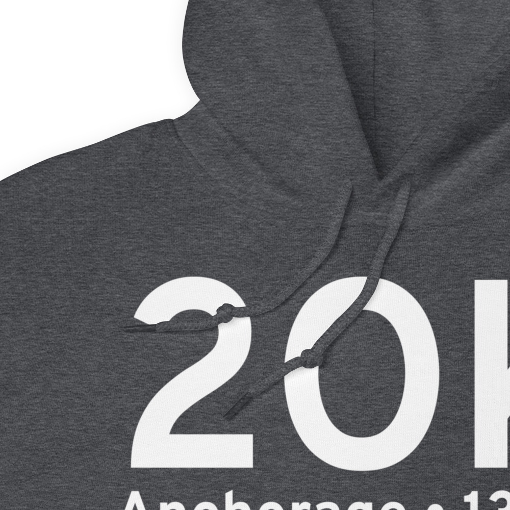 Anchorage (2OK) Airport Hoodie Sweatshirt 