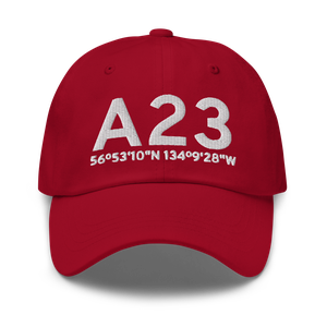 Saginaw Bay (A23) Airport Hat