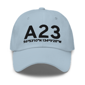 Saginaw Bay (A23) Airport Hat