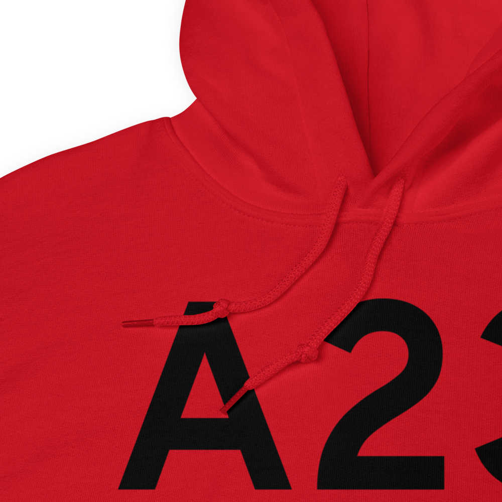 Saginaw Bay (A23) Airport Hoodie Sweatshirt 