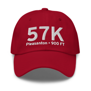 Pleasanton (57K) Airport Hat