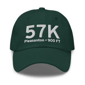 Pleasanton (57K) Airport Hat