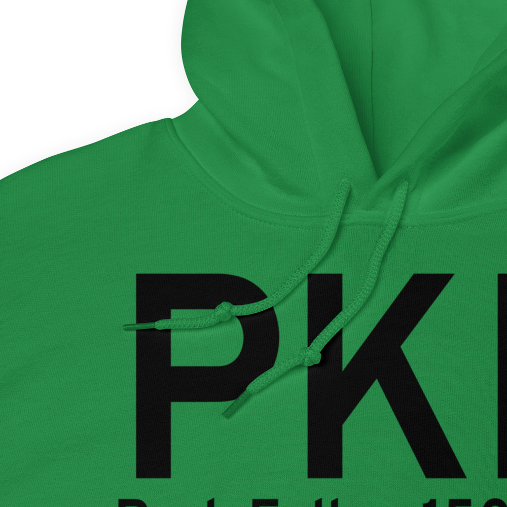 Park Falls (KPKF) Airport Hoodie Sweatshirt 