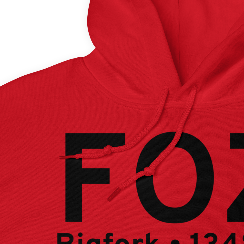 Bigfork (KFOZ) Airport Hoodie Sweatshirt 