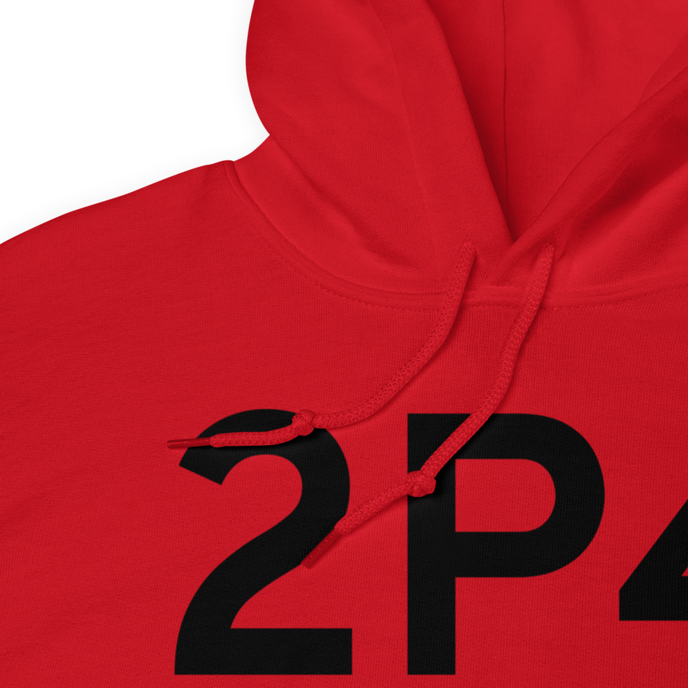 Baraga (2P4) Airport Hoodie Sweatshirt 