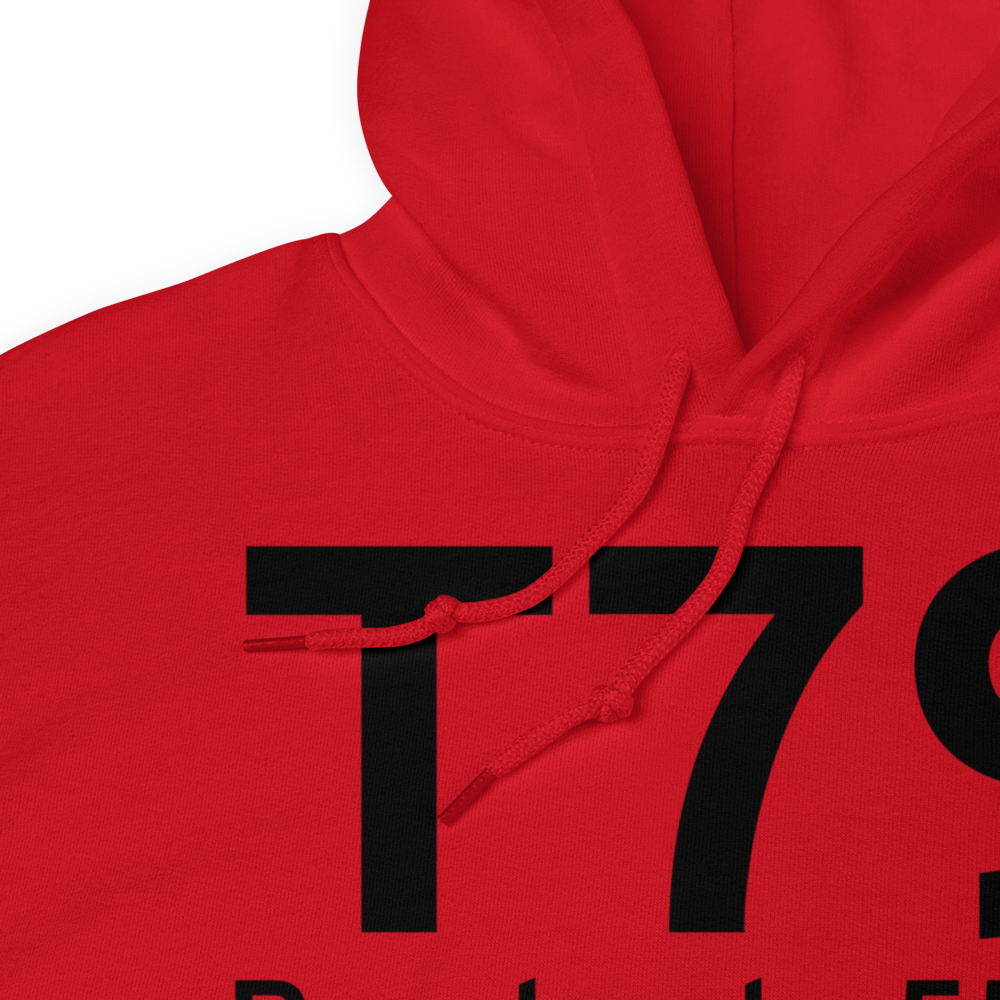Pearland (T79) Airport Hoodie Sweatshirt 