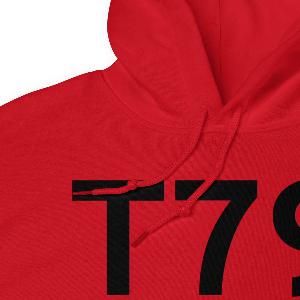 Pearland (T79) Airport Hoodie Sweatshirt 