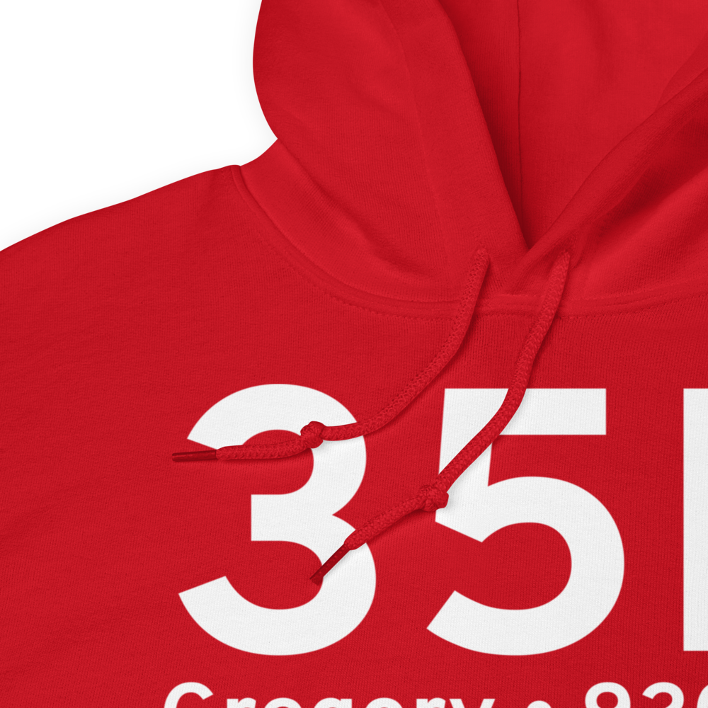 Gregory (35L) Airport Hoodie Sweatshirt 