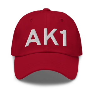 Palmer (AK1) Airport Hat