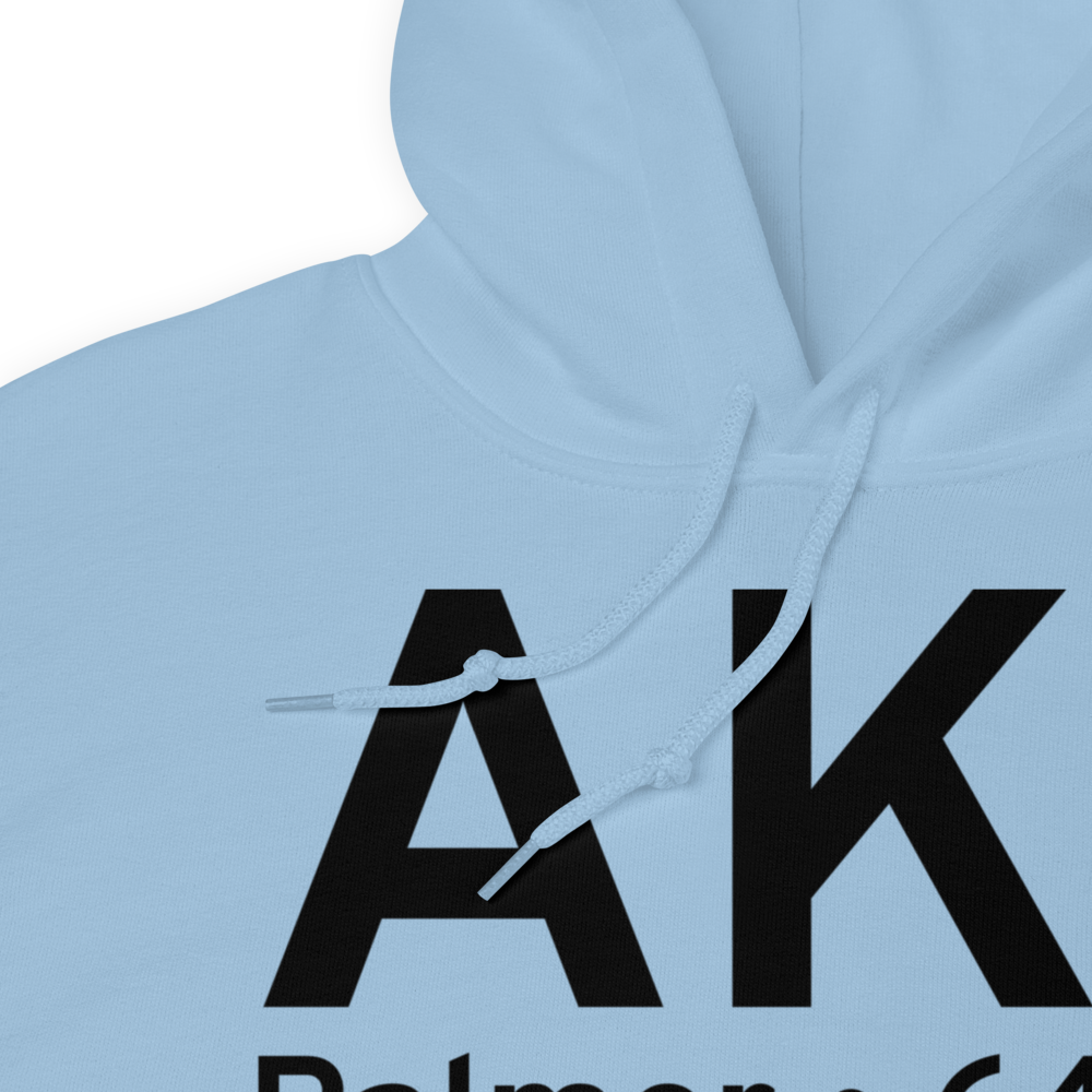 Palmer (AK1) Airport Hoodie Sweatshirt 