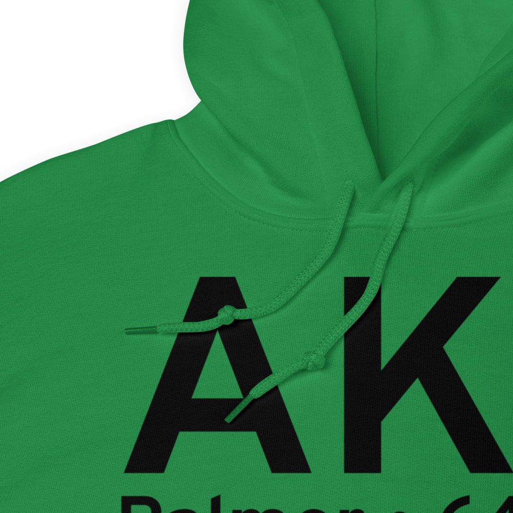 Palmer (AK1) Airport Hoodie Sweatshirt 
