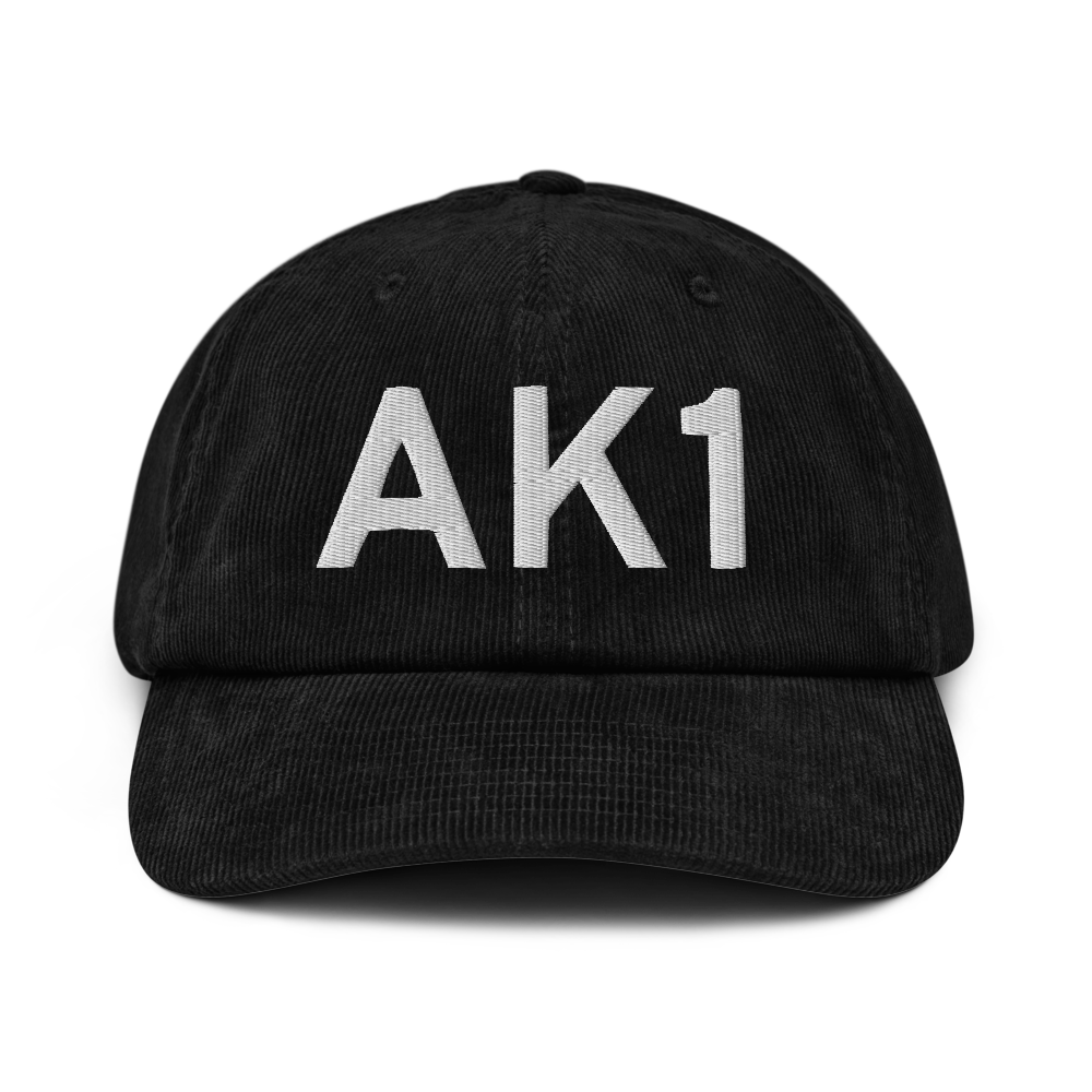 Palmer (AK1) Airport Hat 