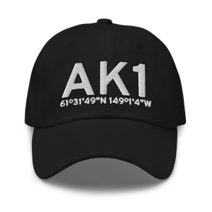 Palmer (AK1) Airport Hat