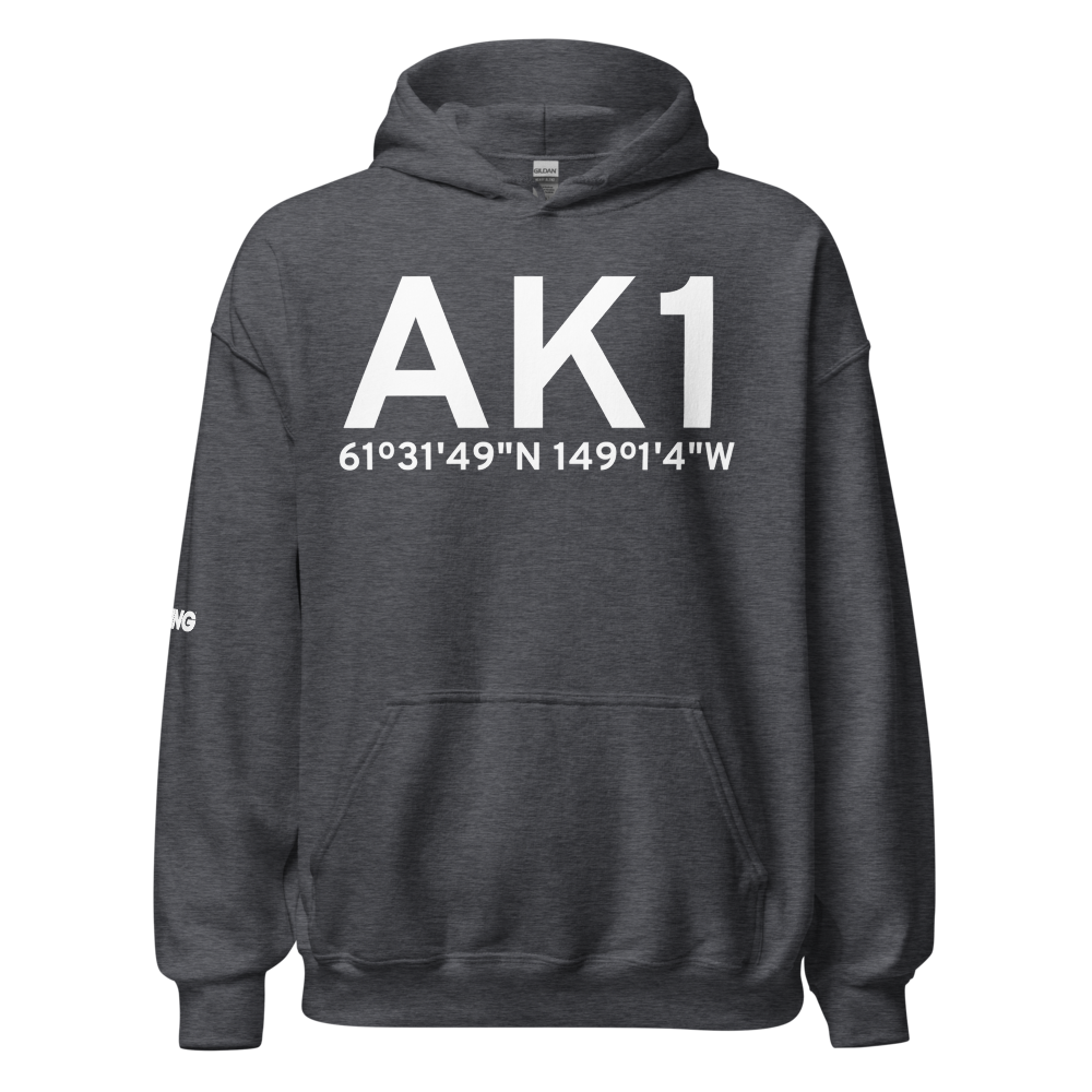 Palmer (AK1) Airport Hoodie Sweatshirt 