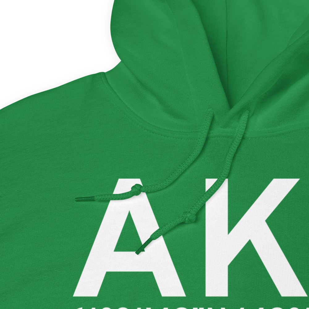 Palmer (AK1) Airport Hoodie Sweatshirt 