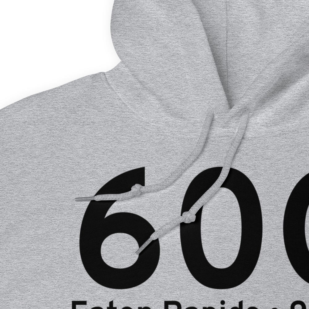 Eaton Rapids (60G) Airport Hoodie Sweatshirt 