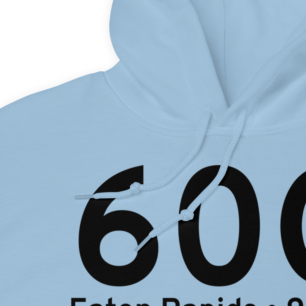 Eaton Rapids (60G) Airport Hoodie Sweatshirt 