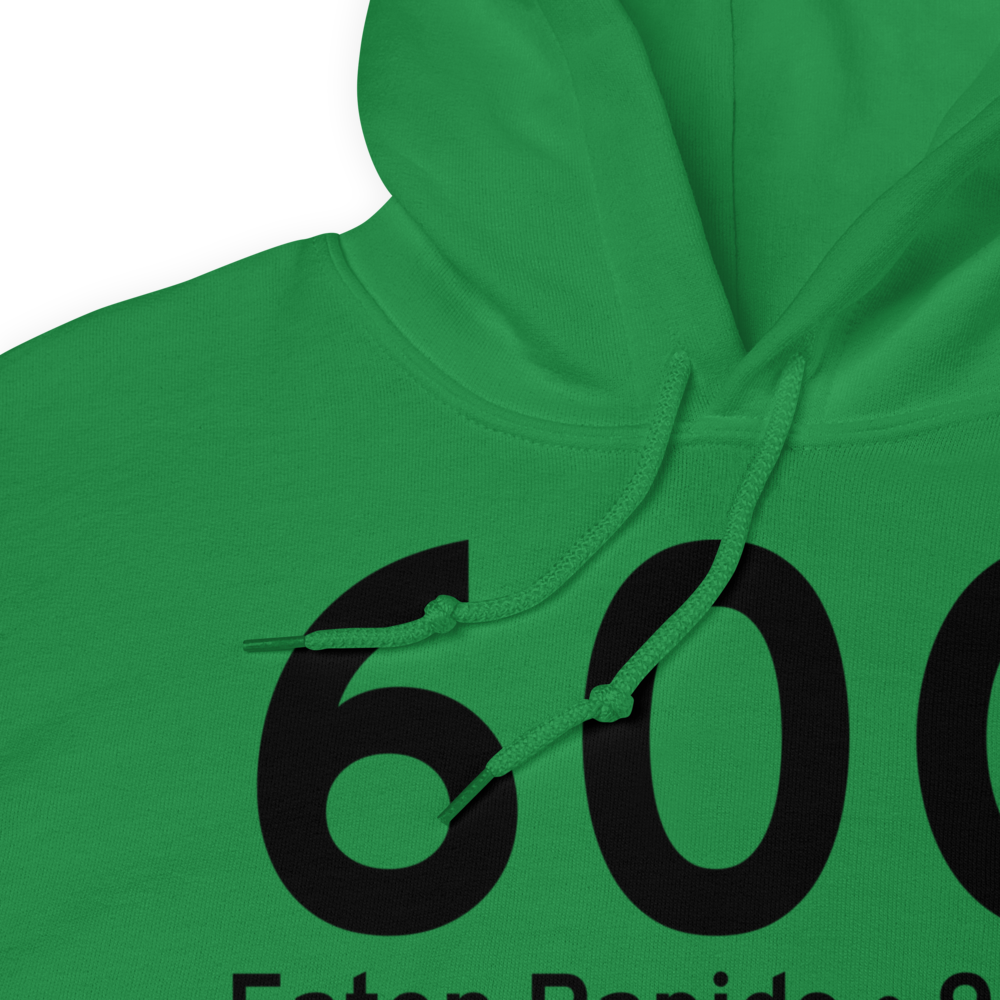 Eaton Rapids (60G) Airport Hoodie Sweatshirt 