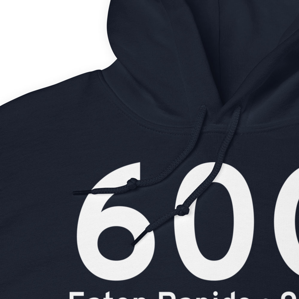 Eaton Rapids (60G) Airport Hoodie Sweatshirt 