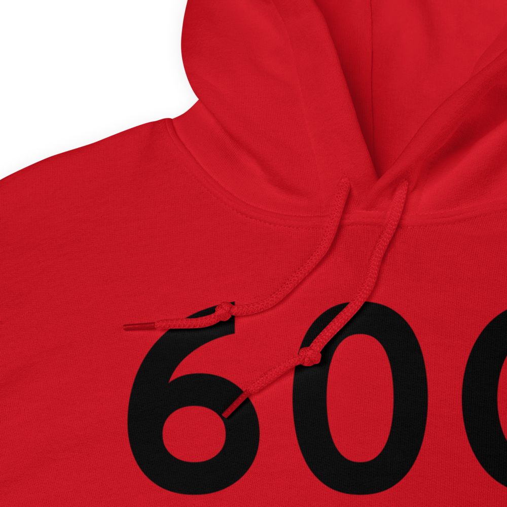 Eaton Rapids (60G) Airport Hoodie Sweatshirt 