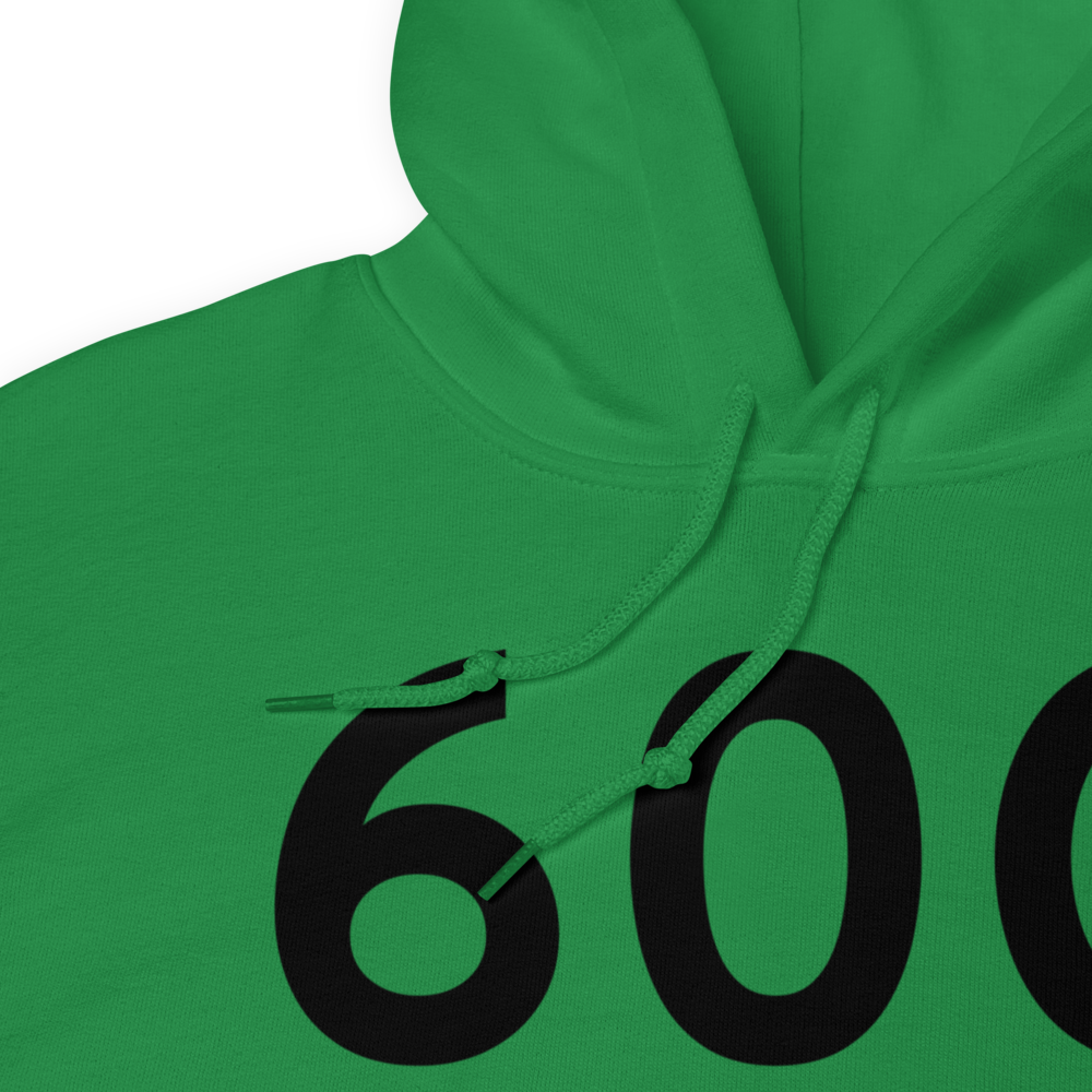 Eaton Rapids (60G) Airport Hoodie Sweatshirt 