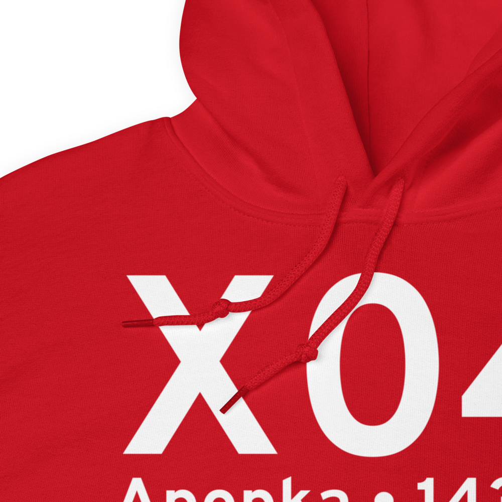 Apopka (KX04) Airport Hoodie Sweatshirt 