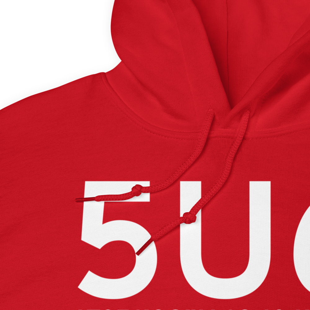Fairview (5U6) Airport Hoodie Sweatshirt 