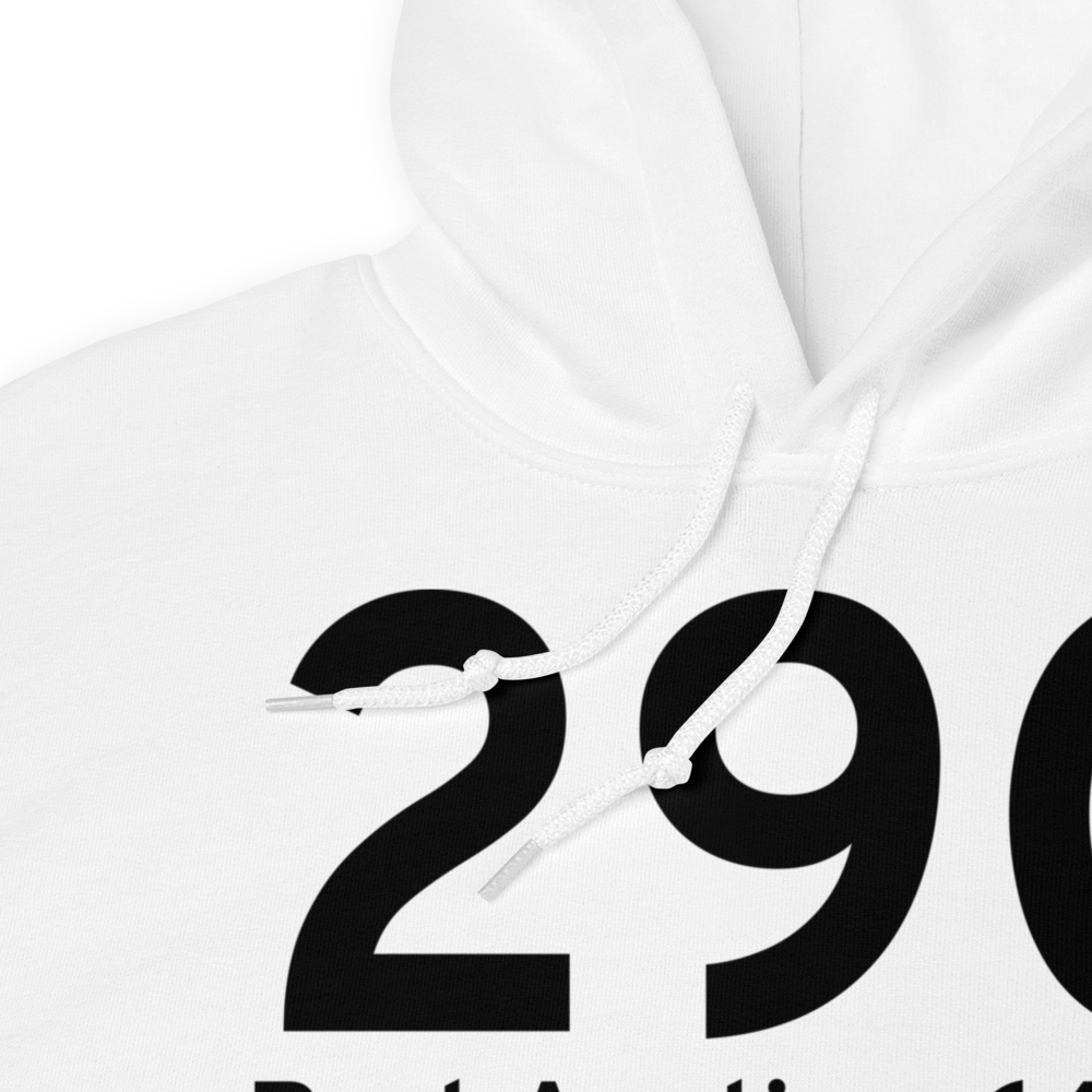 Port Austin (29C) Airport Hoodie Sweatshirt 