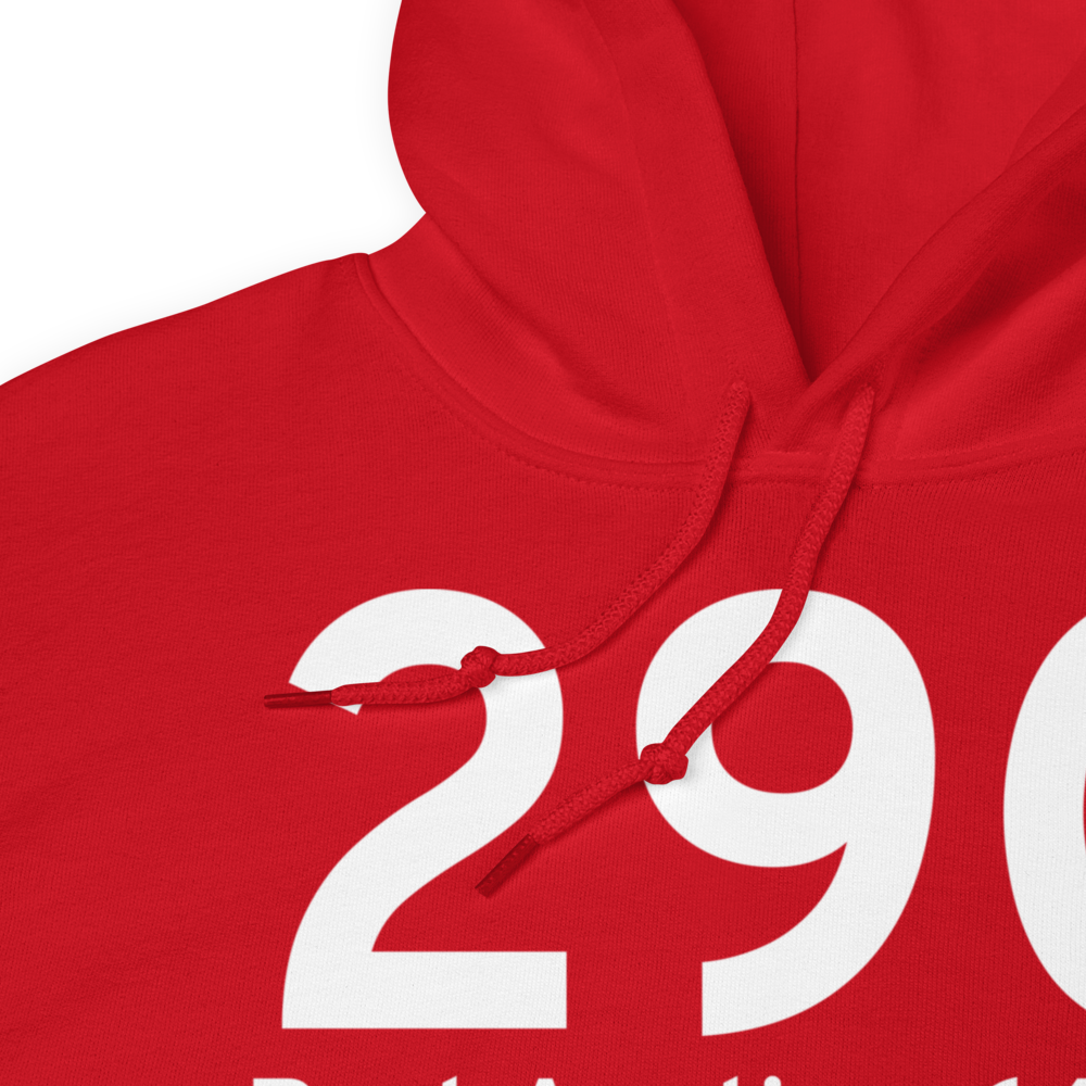 Port Austin (29C) Airport Hoodie Sweatshirt 