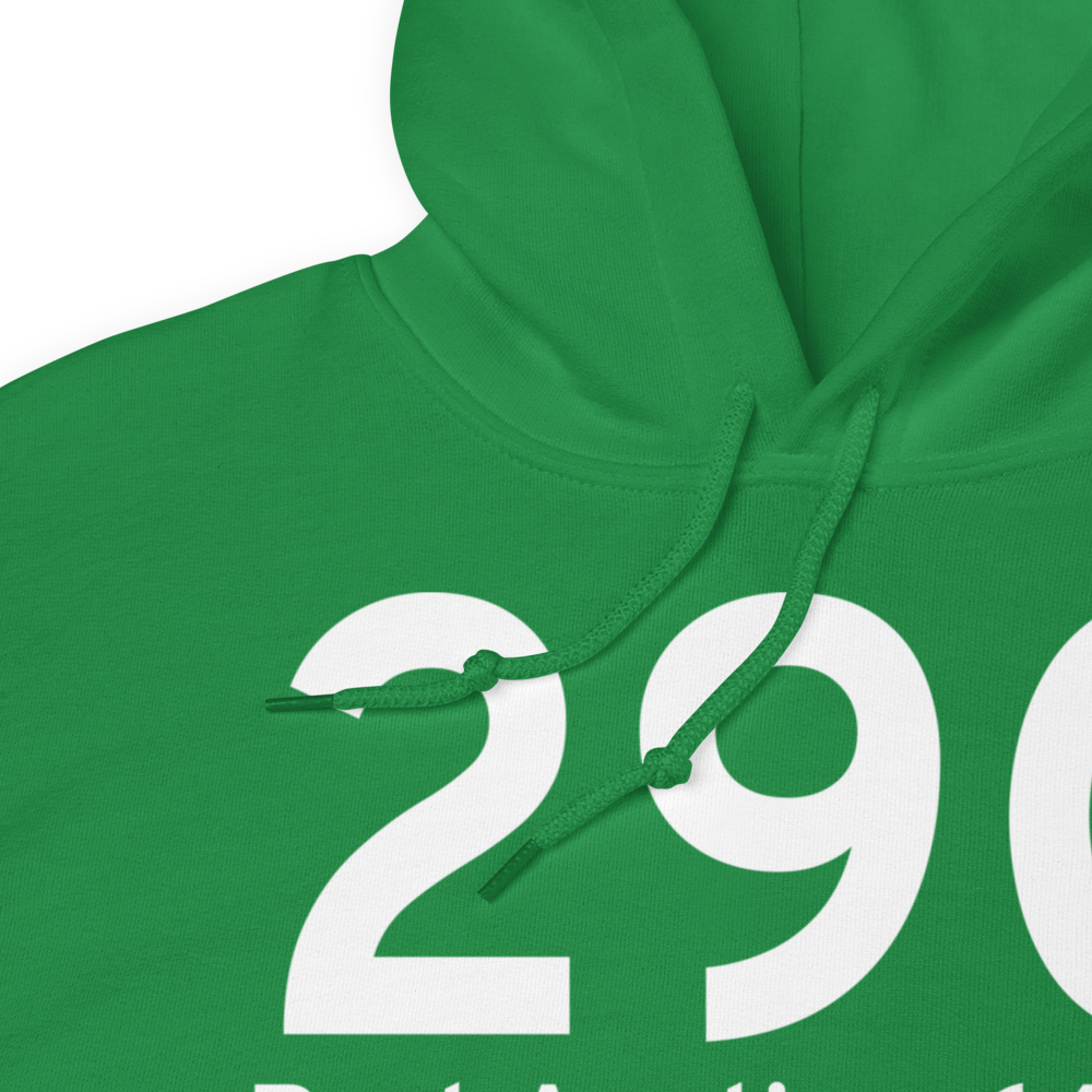Port Austin (29C) Airport Hoodie Sweatshirt 