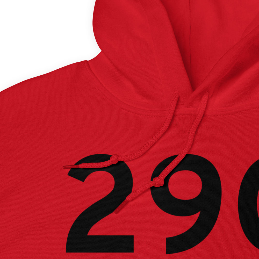 Port Austin (29C) Airport Hoodie Sweatshirt 