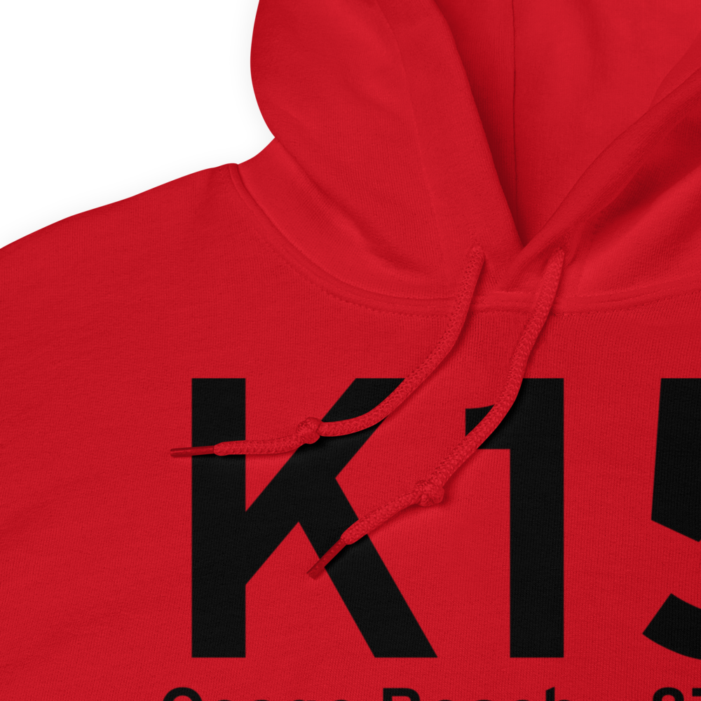 Osage Beach (KK15) Airport Hoodie Sweatshirt 