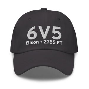 Bison (K6V5) Airport Hat