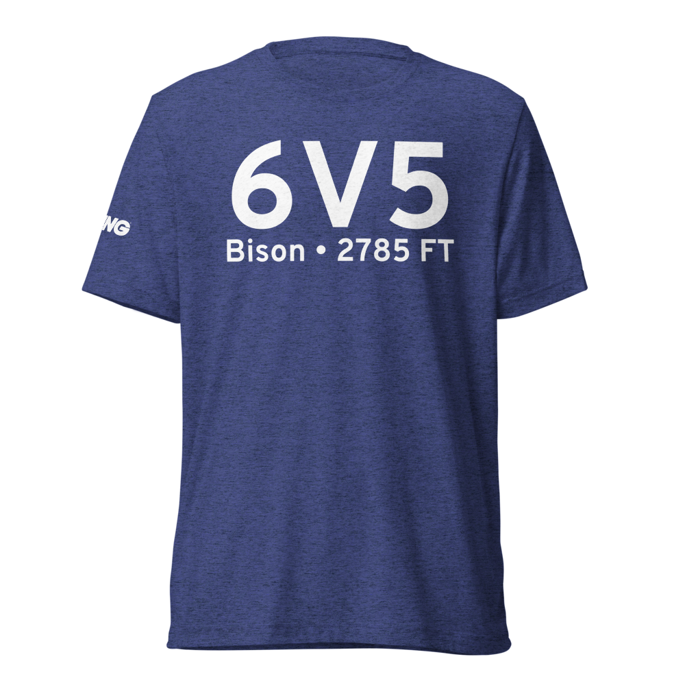 Bison (K6V5) Airport Tri-blend T-Shirt 