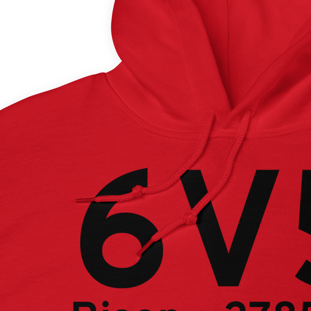 Bison (K6V5) Airport Hoodie Sweatshirt 
