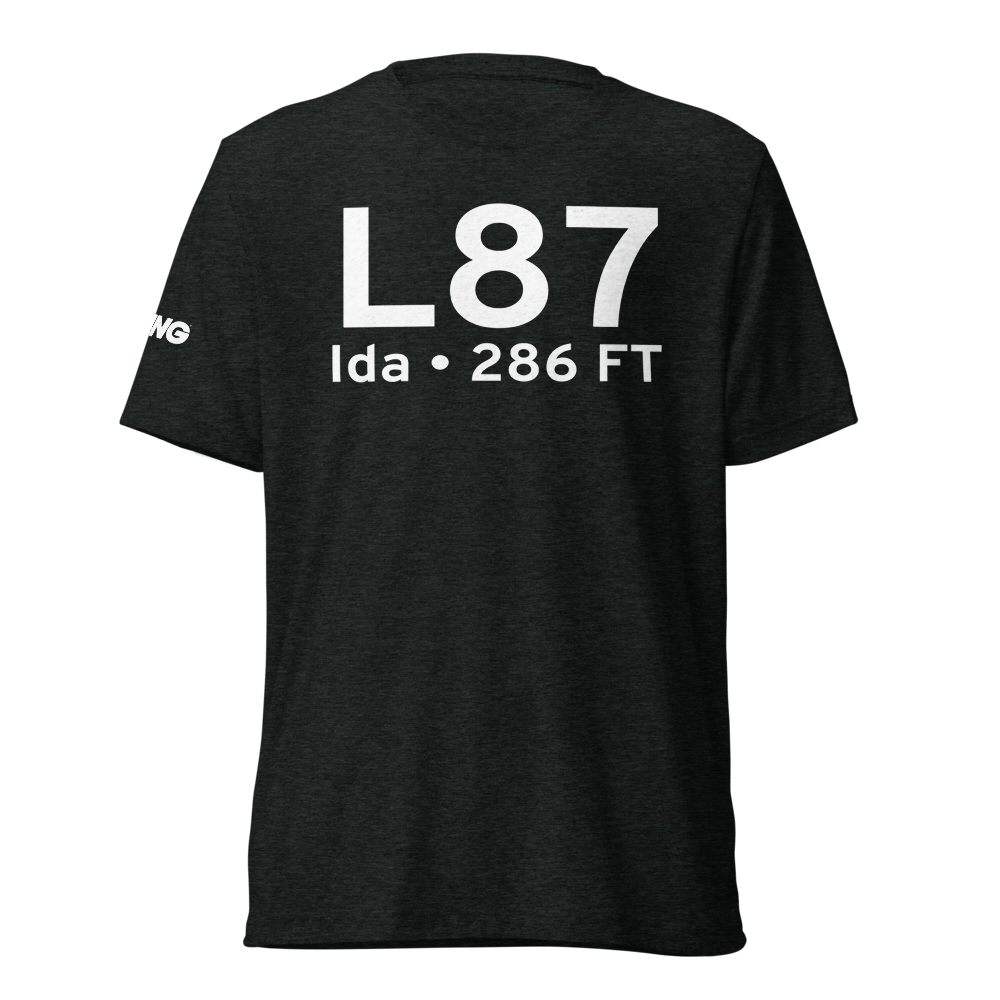 Ida (L87) Airport Tri-blend T-Shirt 