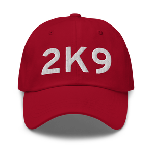 Haskell (K2K9) Airport Hat