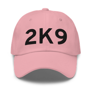 Haskell (K2K9) Airport Hat