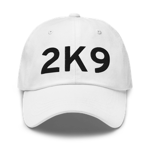 Haskell (K2K9) Airport Hat