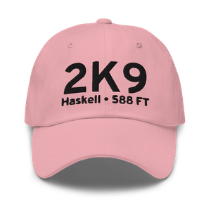 Haskell (K2K9) Airport Hat