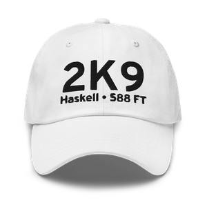 Haskell (K2K9) Airport Hat