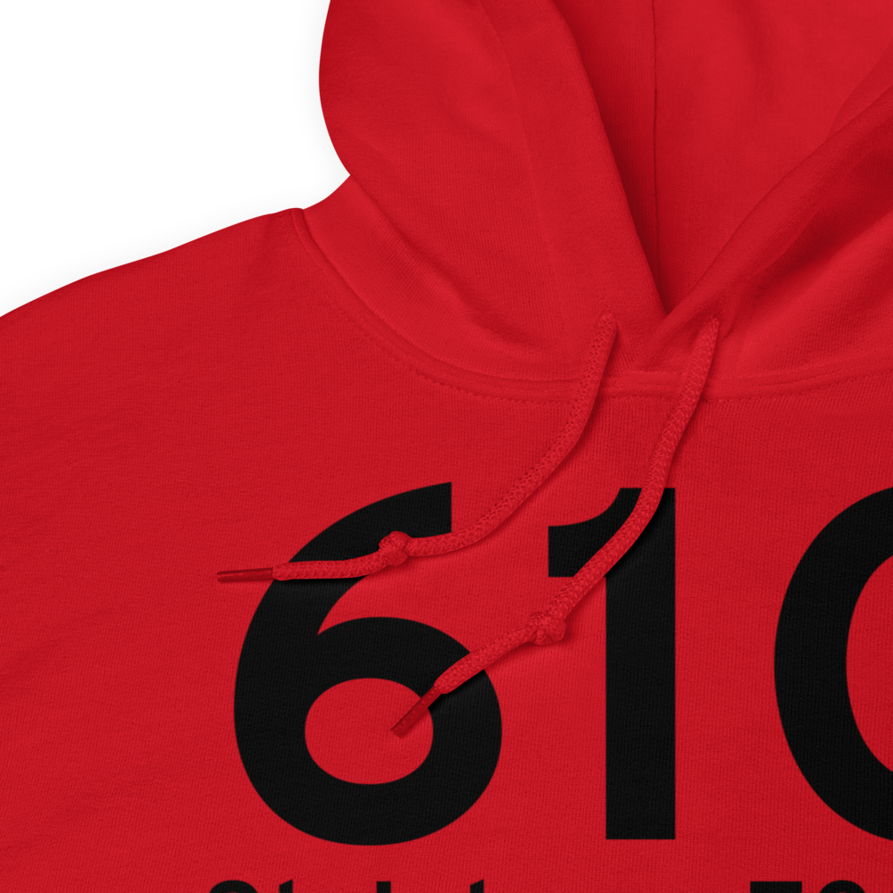 St Johns (61G) Airport Hoodie Sweatshirt 