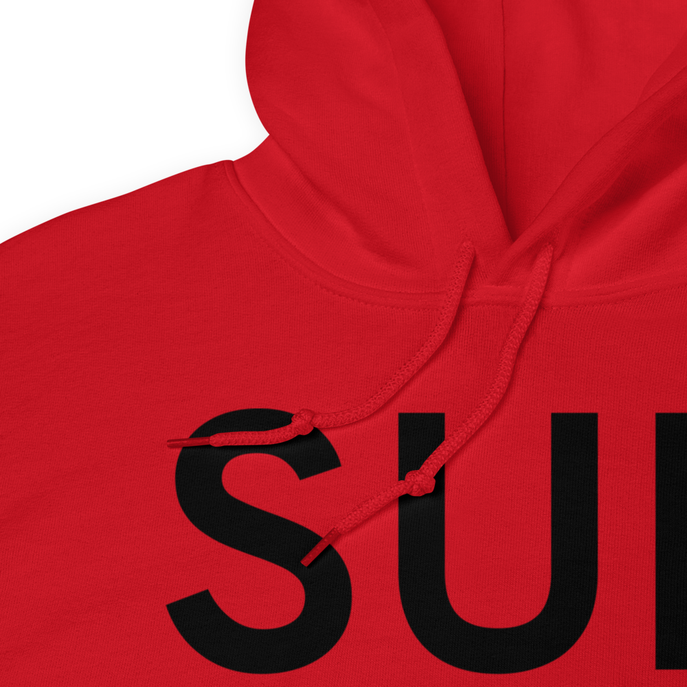 Sturgeon Bay (KSUE) Airport Hoodie Sweatshirt 