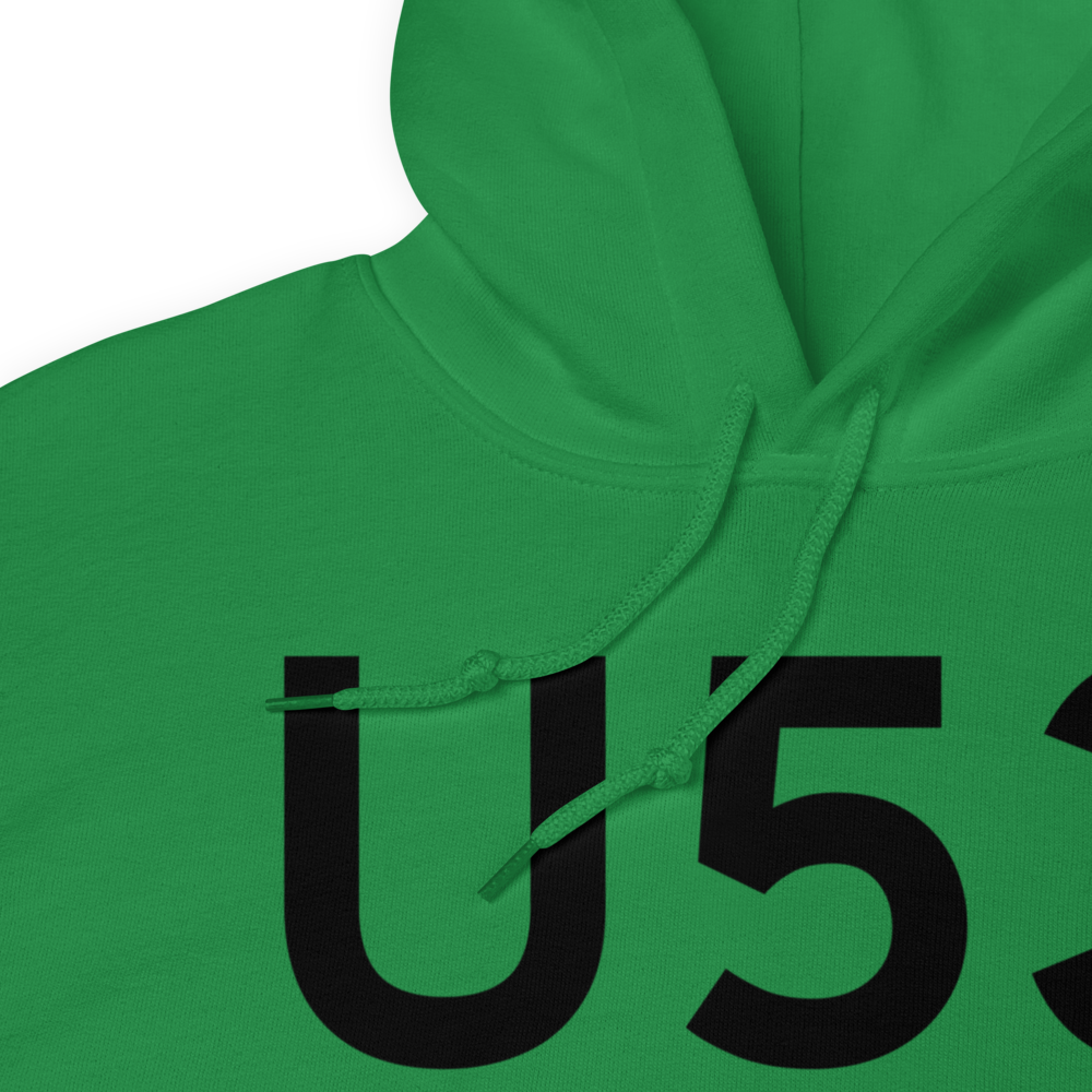 Lake/Island Park/ (U53) Airport Hoodie Sweatshirt 