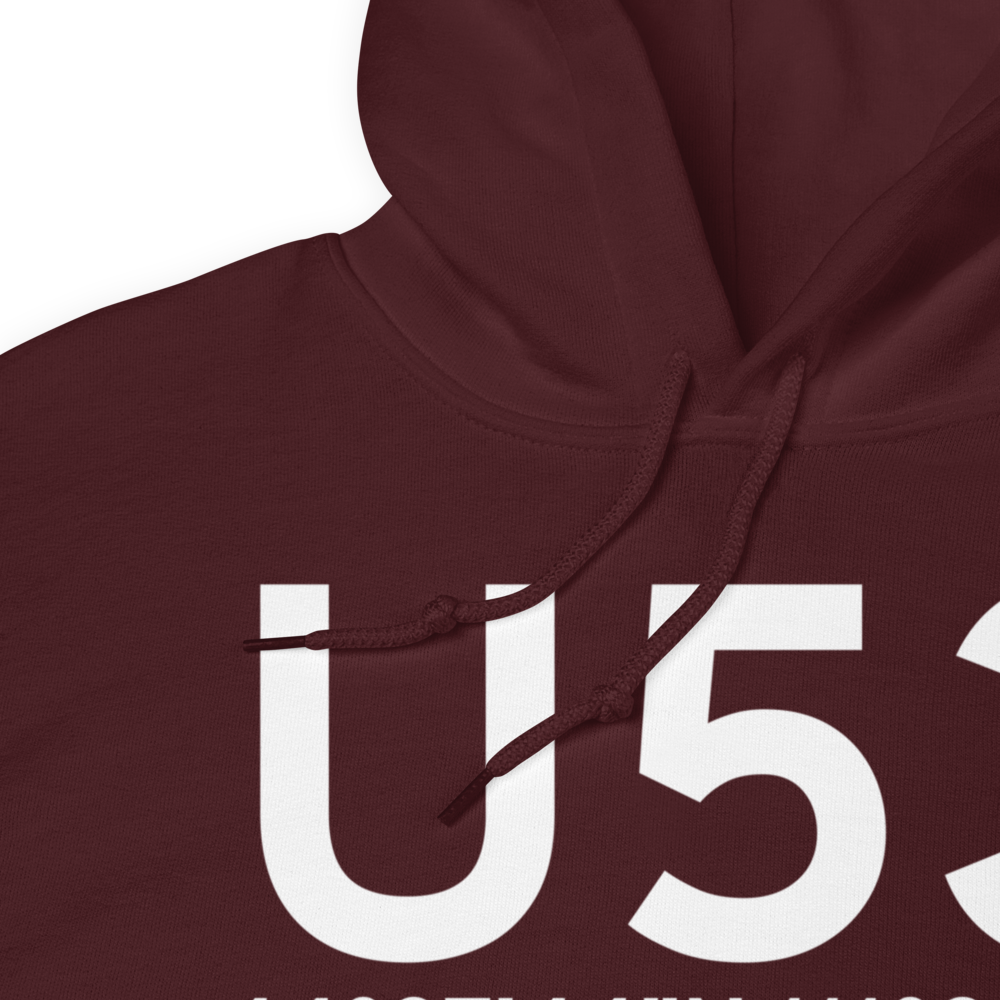 Lake/Island Park/ (U53) Airport Hoodie Sweatshirt 