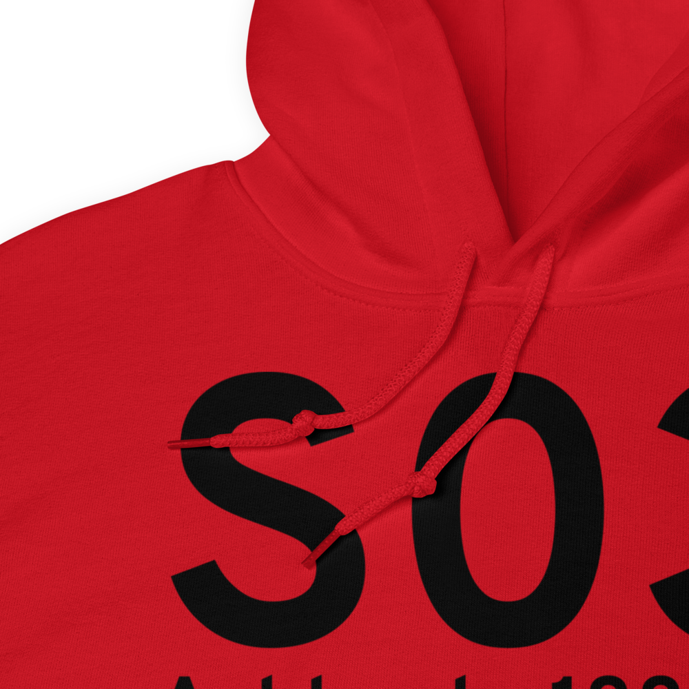 Ashland (KS03) Airport Hoodie Sweatshirt 