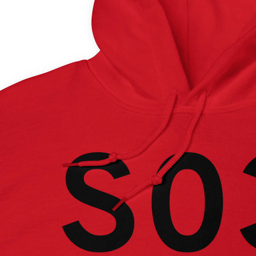 Ashland (KS03) Airport Hoodie Sweatshirt 