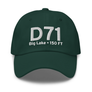 Big Lake (D71) Airport Hat