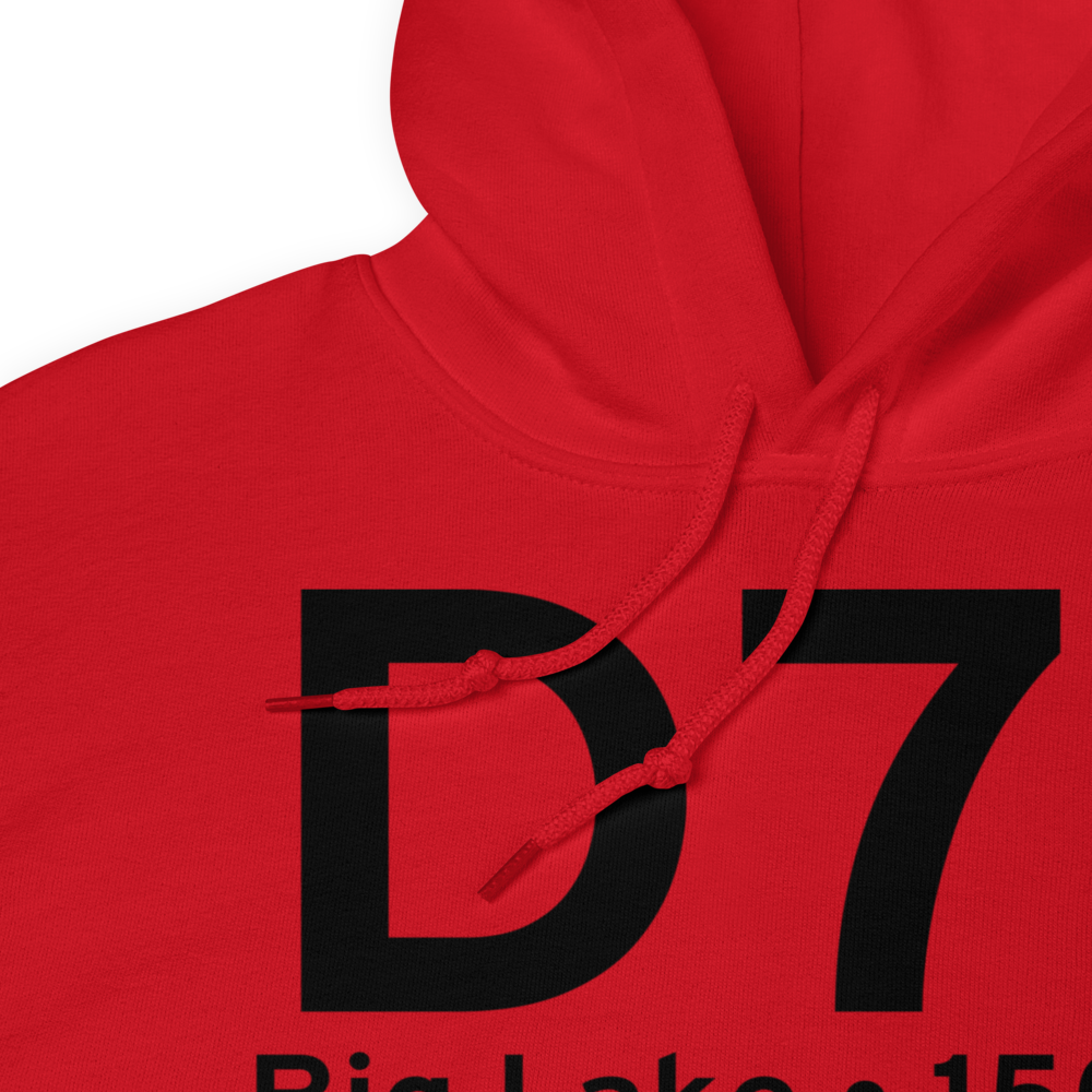 Big Lake (D71) Airport Hoodie Sweatshirt 