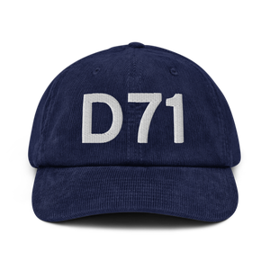 Big Lake (D71) Airport Hat